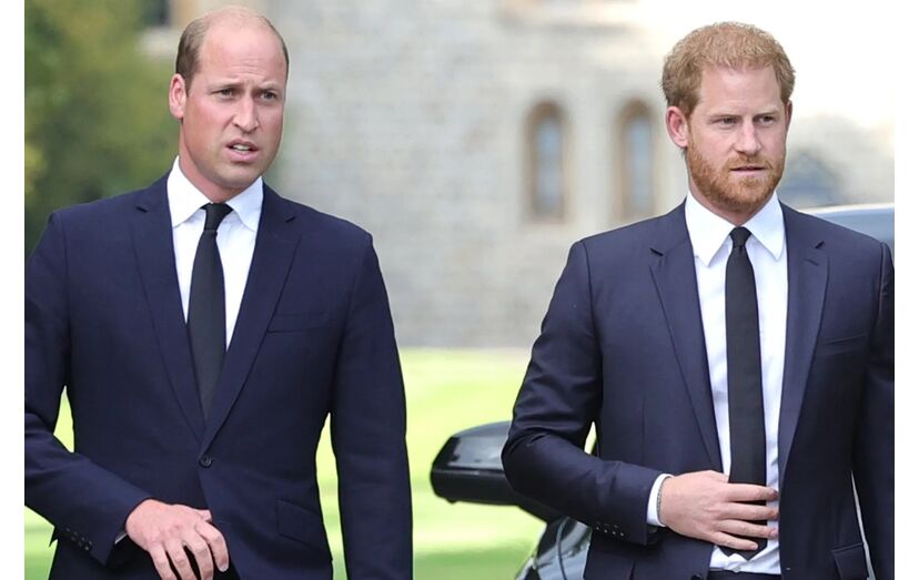 Príncipe Harry, príncipe William 