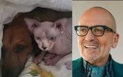 Goucha mostra vídeo amoroso dos seus amores... que se escondem na cama para fugir do frio