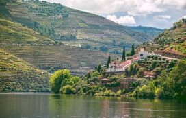 Gala de Abertura Douro Cidade Europeia do Vinho