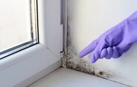 Truques para dizer “adeus” à humidade neste inverno