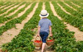 É entrar no espírito da Quaresma! Uma "sexta-feira santa" para o organismo com as receitas das melhores nutricionistas