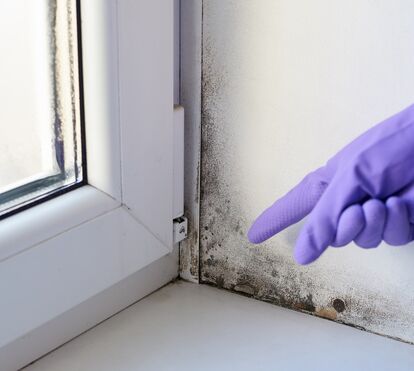 Truques para dizer “adeus” à humidade neste inverno