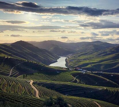 Há uma nova exposição para ver em Vila Nova de Foz Côa... e muito mais para visitar além das pinturas rupestres