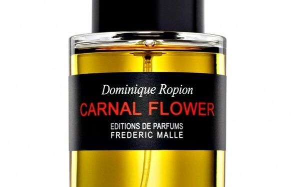 Carnal Flower