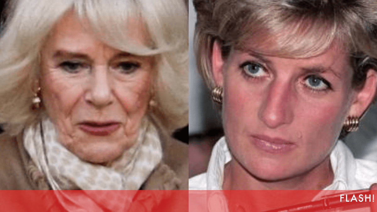 Queen Camilla’s best friend breaks silence over wars with Princess Diana and Prince Harry (now)
