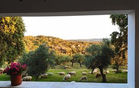 Descansar rodeado pela natureza! 8 hotéis imperdíveis para uma escapadinha no campo