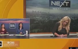 Apresentadora do tempo desmaia em direto na TV e deixa colegas em choque