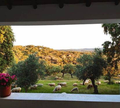 Descansar rodeado pela natureza! 8 hotéis imperdíveis para uma escapadinha no campo