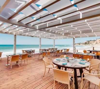 Só salada? Olhe que não! 5 restaurantes vegetarianos em Lisboa que oferecem ementas surpreendentes