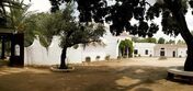 El Recreo de San Cayetano, Maria Cerqueira Gomes, Cayetano Rivera