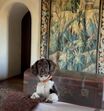 O Castelo da família Pereira Coutinho em Ferragudo