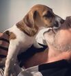 Julinho, cão de Heitor Lourenço