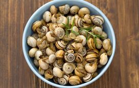 Está aberta a época do caracol! Os melhores sítios para petiscar em Lisboa