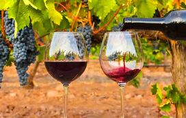 Marque encontro com os melhores produtores de vinhos num evento de luxo com direito a um jantar de Estrela Michelin