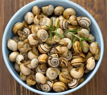 Está aberta a época dos caracóis! Os melhores restaurantes para petiscar em Lisboa