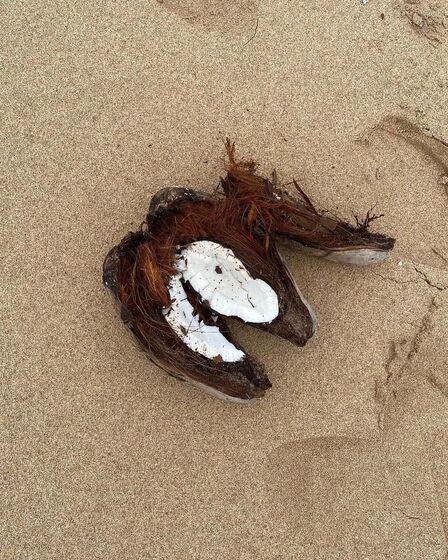 Sofia Arruda, férias, São Tomé