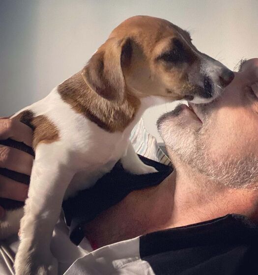 Julinho, cão de Heitor Lourenço
