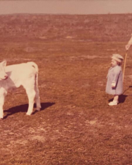 Alejandra de Royas, Juan Carlos 