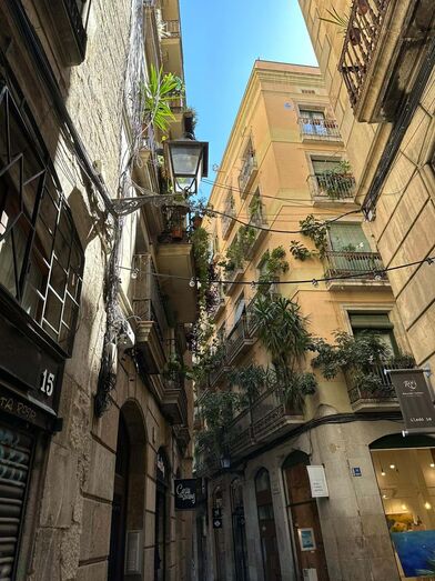 Bairro gótico de Barcelona