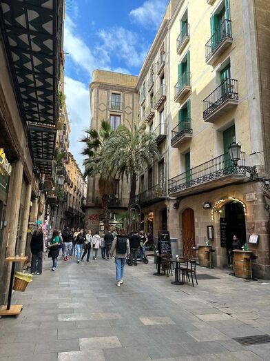 Bairro gótico de Barcelona