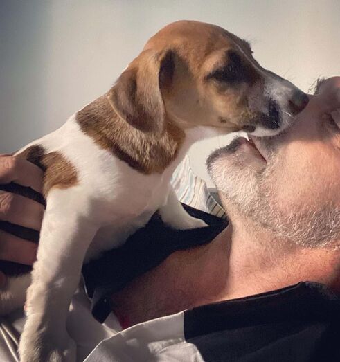 Julinho, cão de Heitor Lourenço