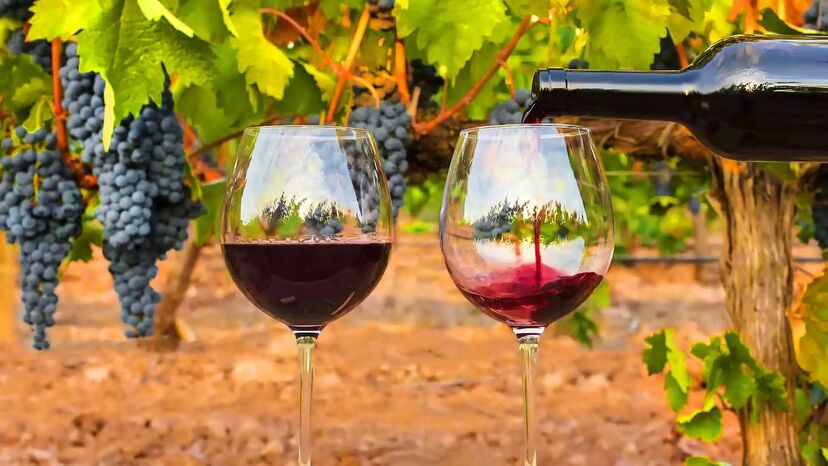 Vinho da Casa