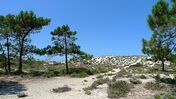 Praias Desertas da Comporta