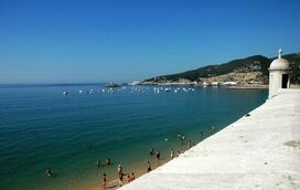 Festival 'Sesimbra É Peixe' está de volta com os melhores petiscos e muitos prémios