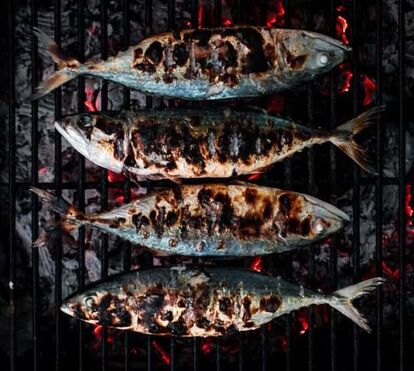 Está aberta a temporada da sardinha! Os melhores restaurante para as comer em época de Santos Populares