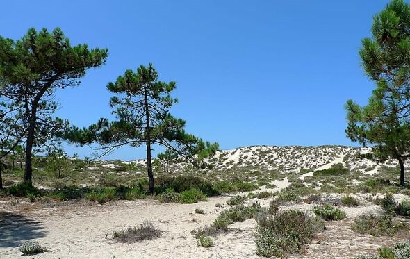 Praias Desertas da Comporta