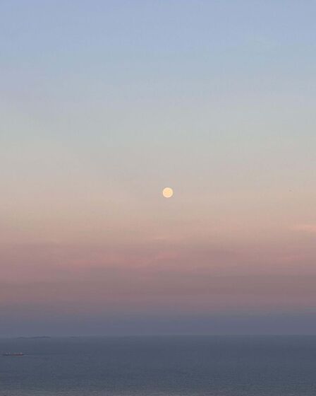 Cristina Ferreira, Brasil