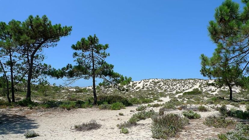 Praias Desertas da Comporta