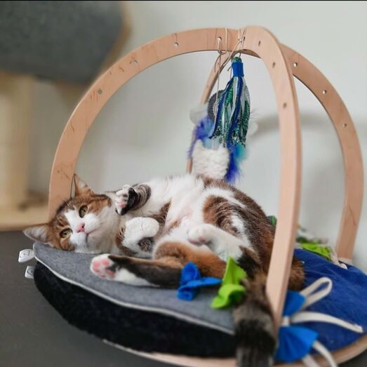 The Petssionate Boutique Hotel