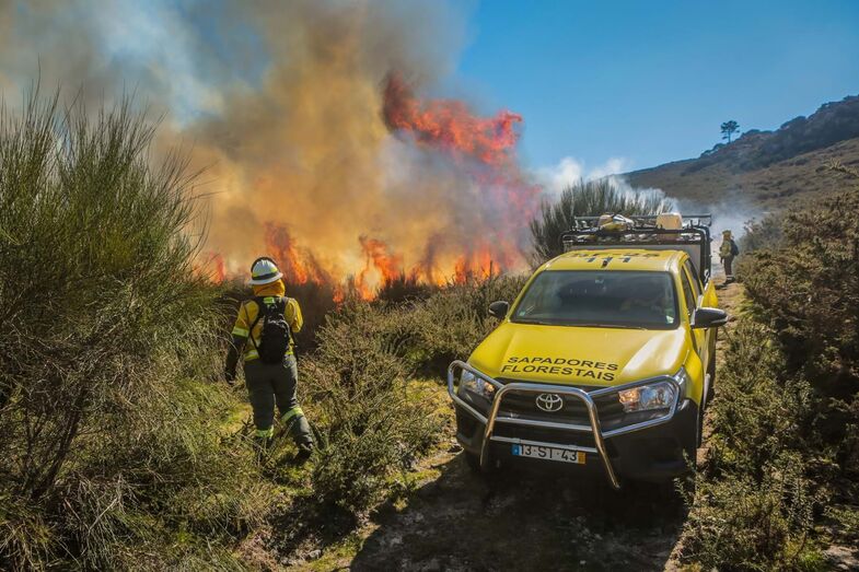 Incêndios, bombeiros