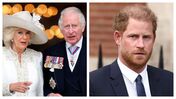 Camilla, Carlos, Harry