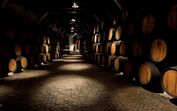 Caves vinho Porto 