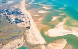 As 5 ilhas mais bonitas do Algarve que tem mesmo de conhecer e esperam pelo seu mergulho