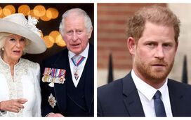 O plano da rainha Camilla para impedir que Harry entre no palácio
