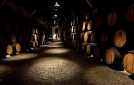 Aqui o calor não entra! As melhores caves do vinho do Porto que estão à espera da sua visita