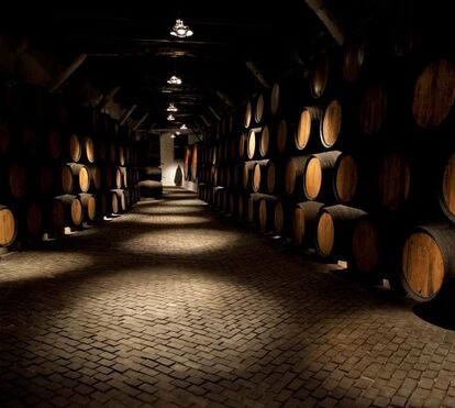 Aqui o calor não entra! As melhores caves do vinho do Porto que estão à espera da sua visita