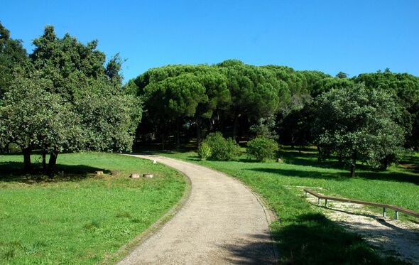 Parque de Monsanto