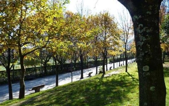 Parque do Covelo