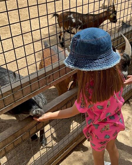 José Raposo, Sara Barradas