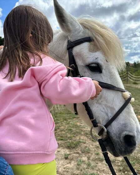 José Raposo, Sara Barradas