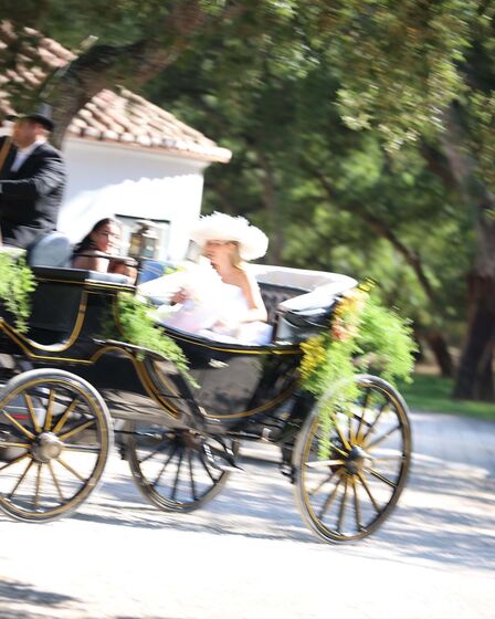 Inês Mendes da Silva, Francisco Ladeira, casamento