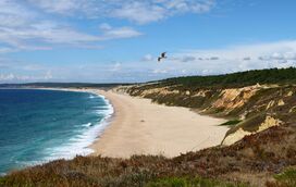 Lugar de encantos mil! Parta à descoberta do Meco, a aldeia que o vai apaixonar desde o primeiro minuto
