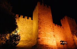 Há morcegos no Castelo de São Jorge! E pode vê-los com os miúdos num passeio noturno por Lisboa