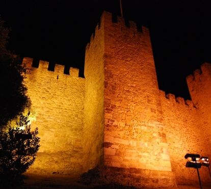 Há morcegos no Castelo de São Jorge! E pode vê-los com os miúdos num passeio noturno por Lisboa