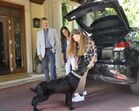 rei felipe vi, rainha letizia, infanta Sofia, Jan