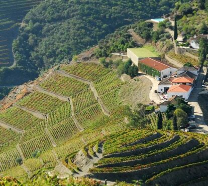 Há quatro produtores de vinho portugueses entre os melhores do Mundo! Conheça estas quintas que são um cenário de sonho